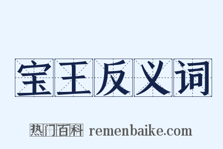 宝王反义词是什么意思的图片